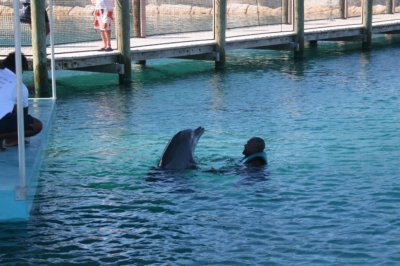 IMG_3999.JPG