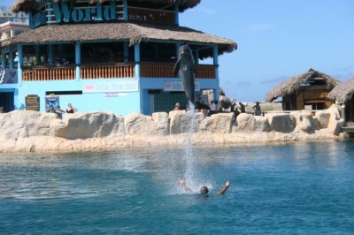 IMG_4003.JPG
