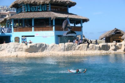 IMG_4005.JPG