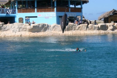IMG_4006.JPG