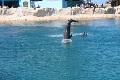 IMG_4007.JPG