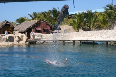 IMG_4014.JPG
