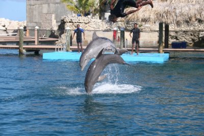 IMG_4018.JPG
