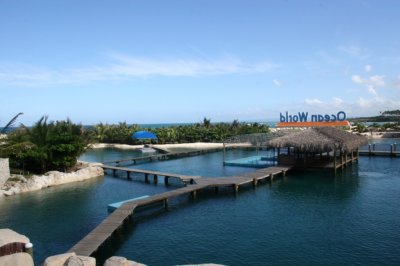 IMG_4025.JPG
