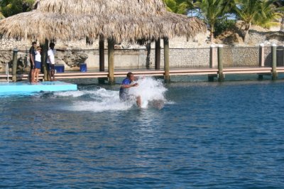 IMG_4034.JPG