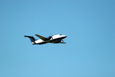 don rep-02.JPG