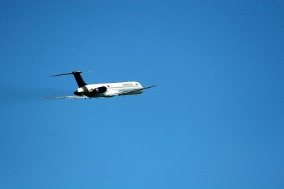 IMG_4128.JPG