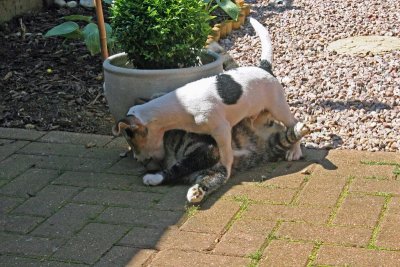 2007 07 08 055.jpg