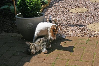 2007 07 08 059.jpg