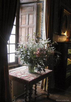 Loire Chateau-flowers in window.jpg