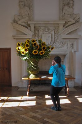 France-Judy-sunflowers.jpg