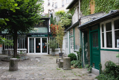 Paris-Frans Krajcbergs gallery.jpg