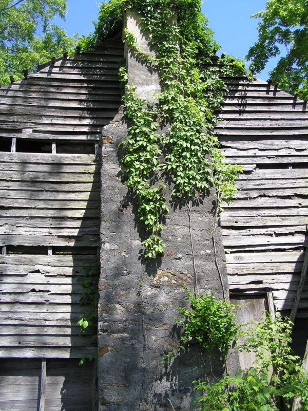 Chimney & Ivy