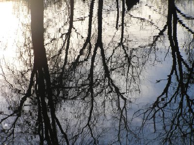 The Haw River in Winter