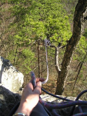 Belaying a Tree from the Top