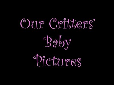 Our Critters Baby Pictures