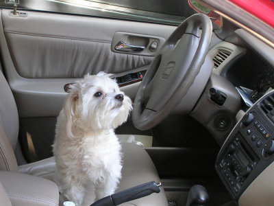 Pardon me, kind sir, but I can't seem to reach the pedals.