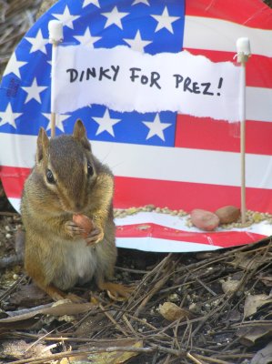 Vote for me! I promise peanuts on every table.