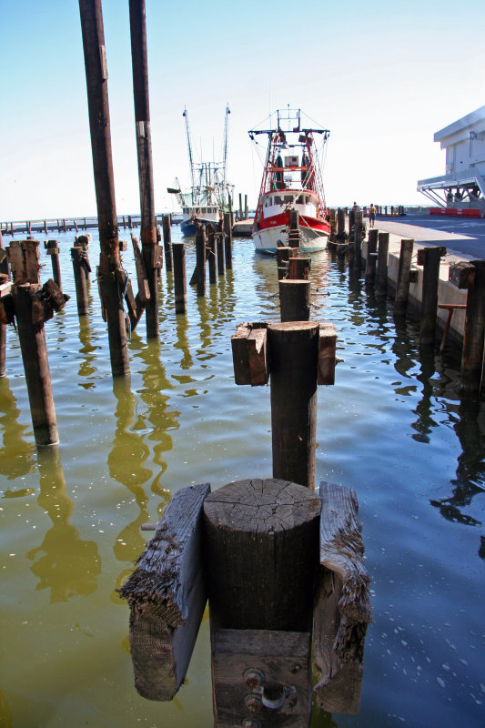 Shrimp Boat