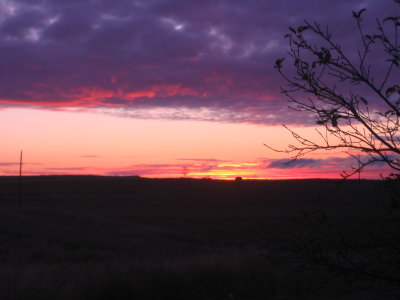 Copy (4) of IMG_1530.JPG