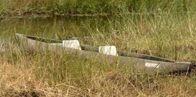 A Mokoro -- a dug out canoe