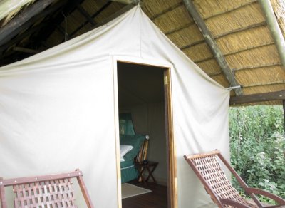 Okavango:  Our tent