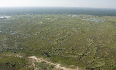 The Delta, from on high