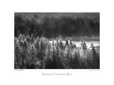 Sunrise on Tamarack Bog