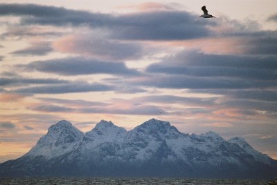 Tysfjord