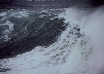 Large Wave - Newfoundland