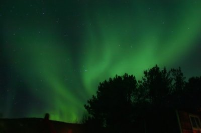 Northern Lights - Tysfjord