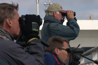 Mark, Henk & Niels Whale Watching