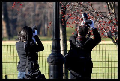 Photographers