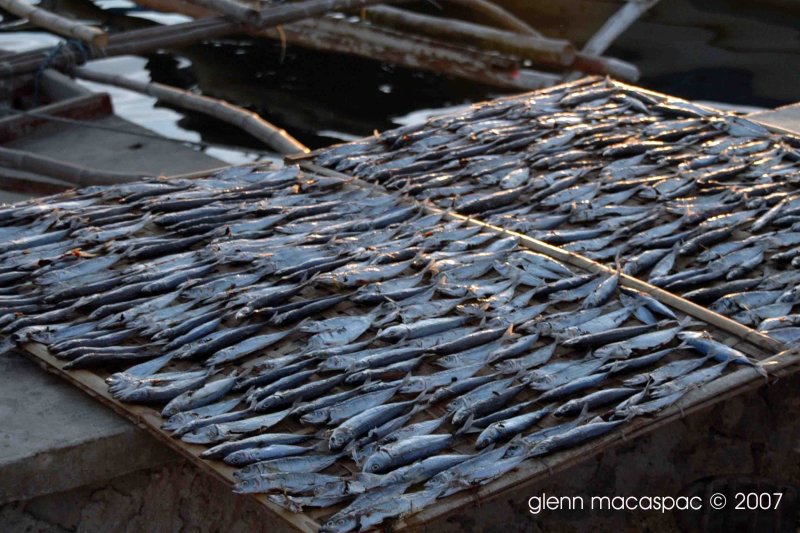 Dried fish