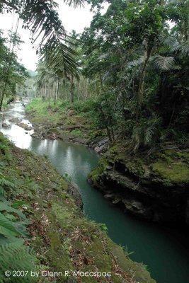 Stream