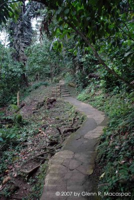 Pathway
