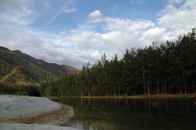Peaceful landscape