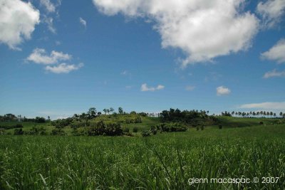 Countryside