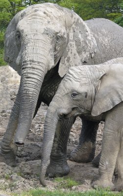 At the mud bath.