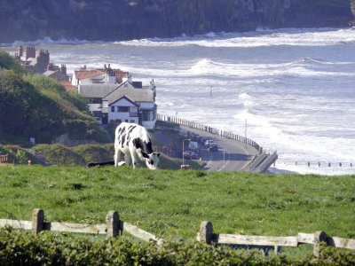 Sandsend from Copper cottage.