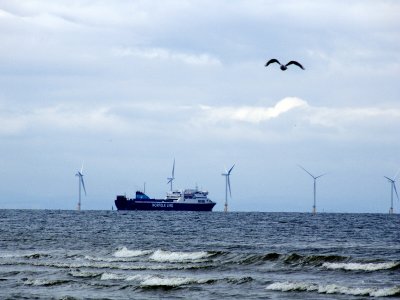 boat to Ireland.