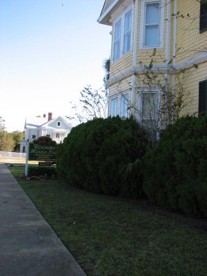 IMG_1253.jpg