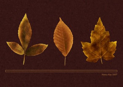 LeafsVintageLoRes.jpg