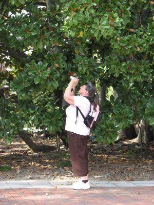 IMG_3849.jpg