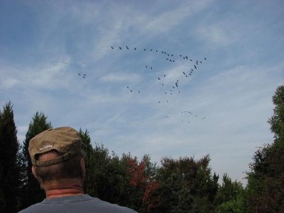 IMG_3869.jpg