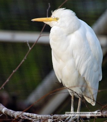 DSC_1394.jpg