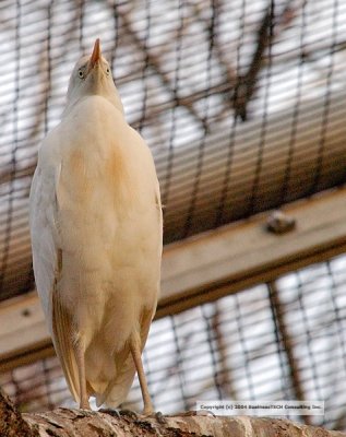 DSC_1428.jpg