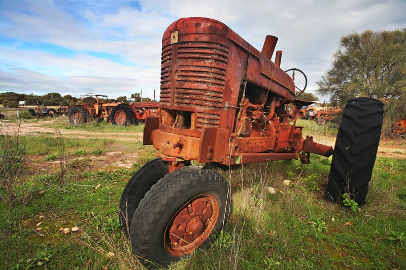 Tractors Graveyard_3.jpg
