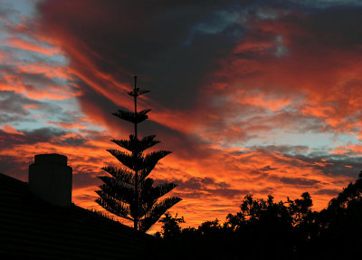 Mitchell Pk Sunset.jpg
