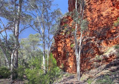 Alligator Gorge3.jpg